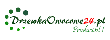 Drzewkaowocowe24 - Puuviljapuude istikud